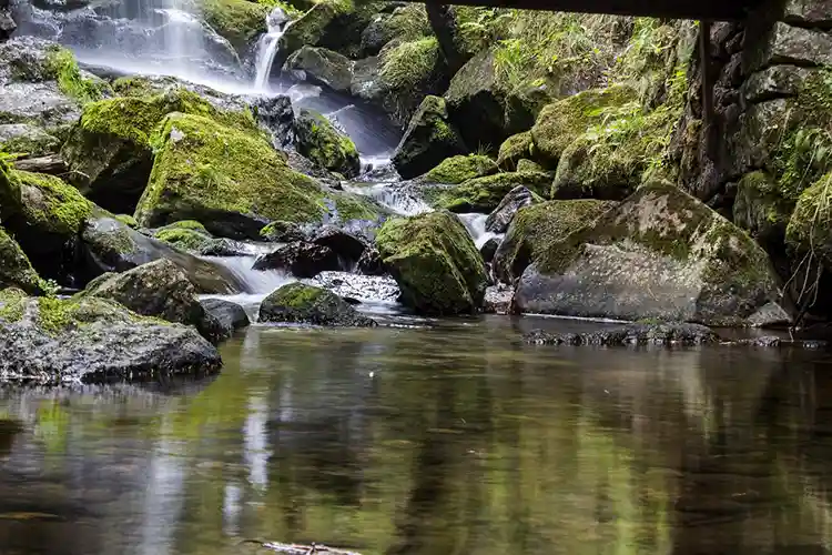 nature water monitoring