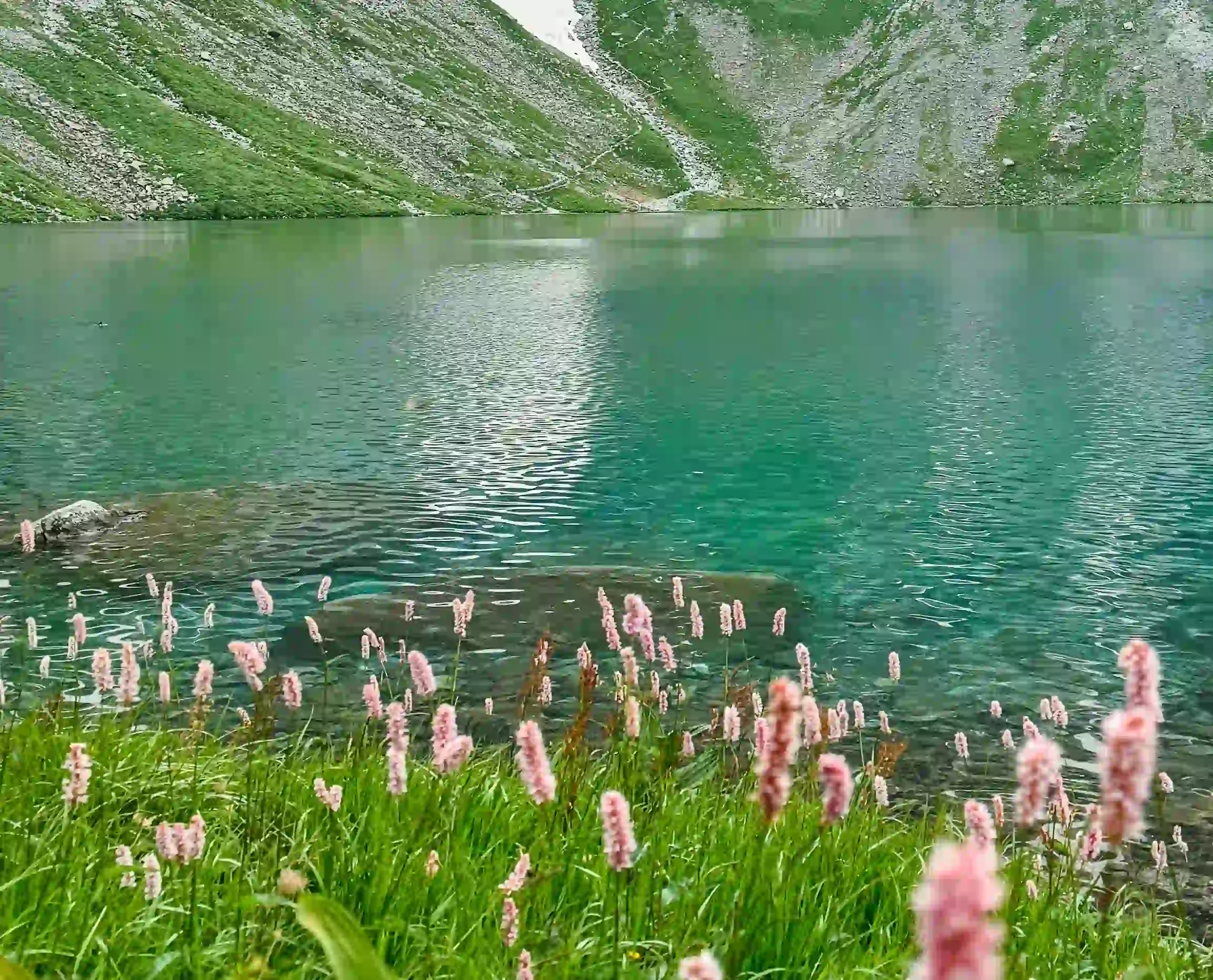 what does nitrate sensor tell you about water